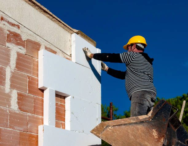Best Insulation Contractor Near Me  in Belington, WV