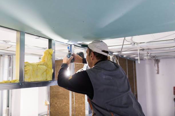 Best Garage Insulation Installation  in Belington, WV