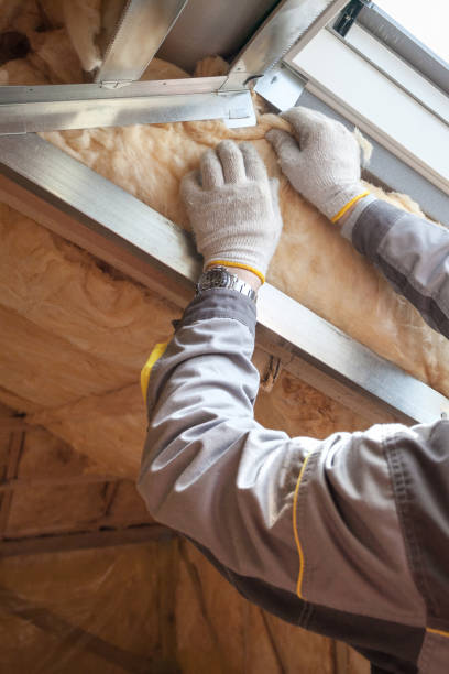 Best Wall Insulation Contractor  in Belington, WV