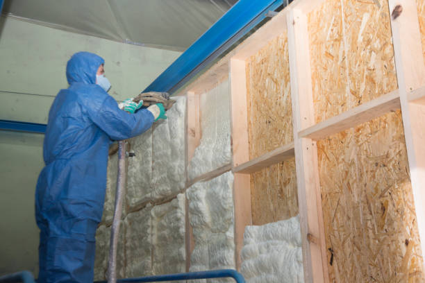 Best Insulation for New Construction  in Belington, WV