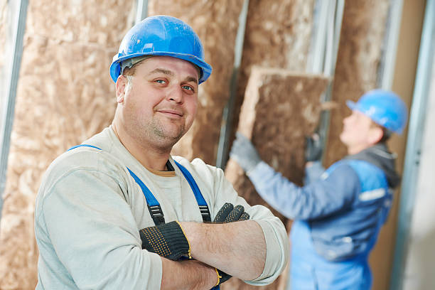 Best Cellulose Insulation  in Belington, WV