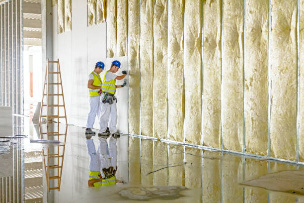 Best Soundproof Insulation Installation  in Belington, WV